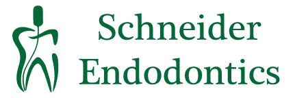 Schneider Endodontics